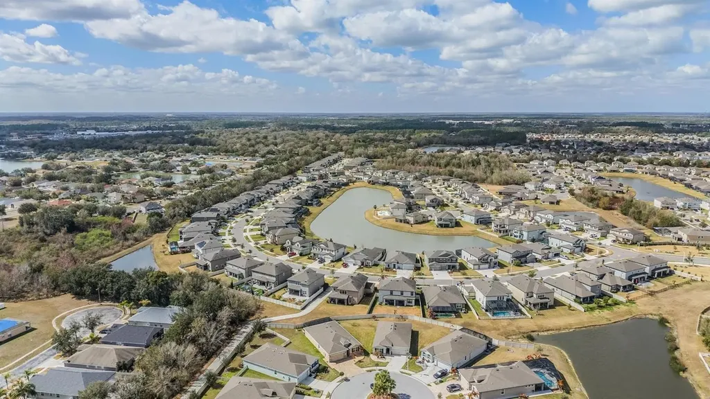 31364 Tansy Bend Wesley Chapel FL 33545