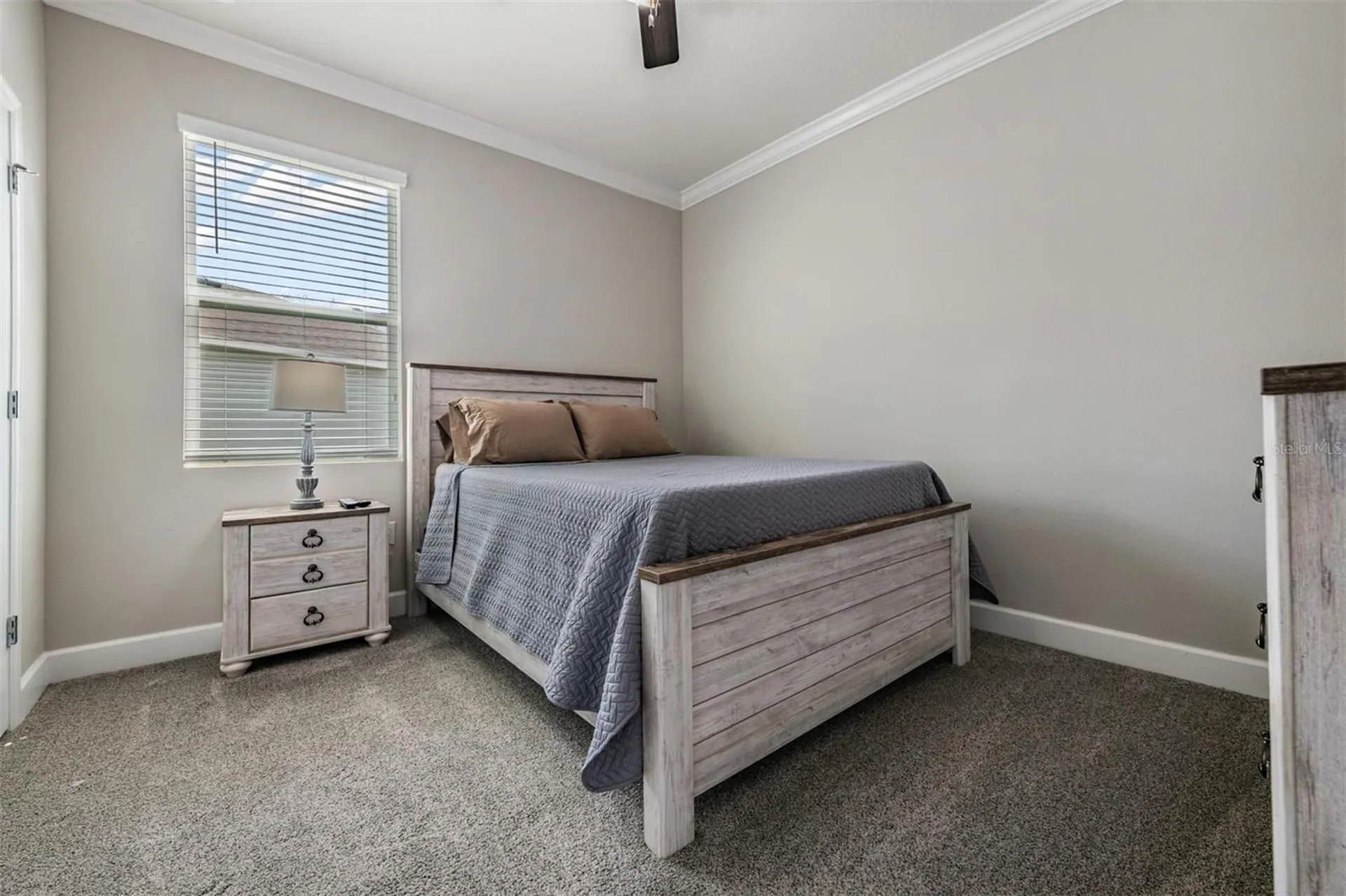 31364 Tansy Bend Wesley Chapel FL 33545