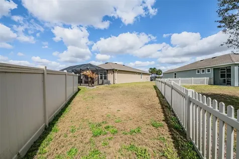 31364 Tansy Bend Wesley Chapel FL 33545