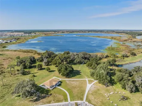 31364 Tansy Bend Wesley Chapel FL 33545