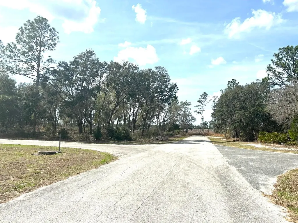 0 SW 163rd Street Road Ocala FL 34473