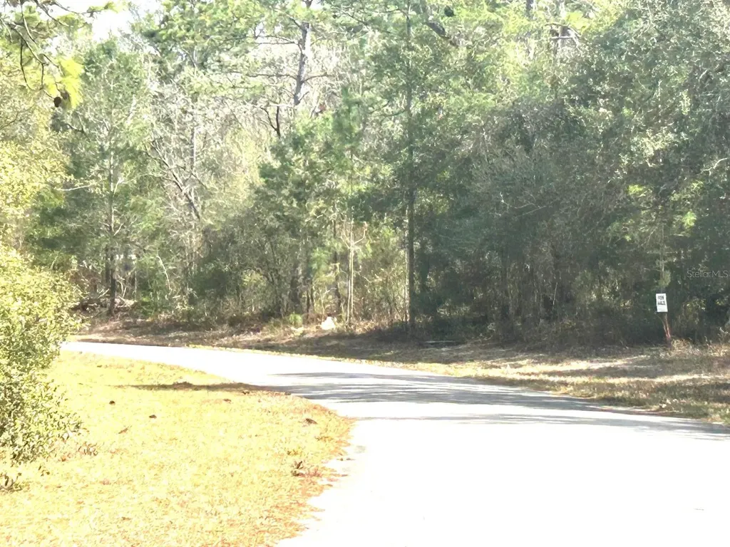 0 SW 163rd Street Road Ocala FL 34473