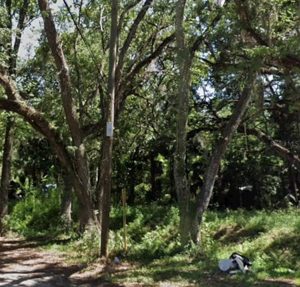 Tbd Twigg Street Brooksville FL 34601