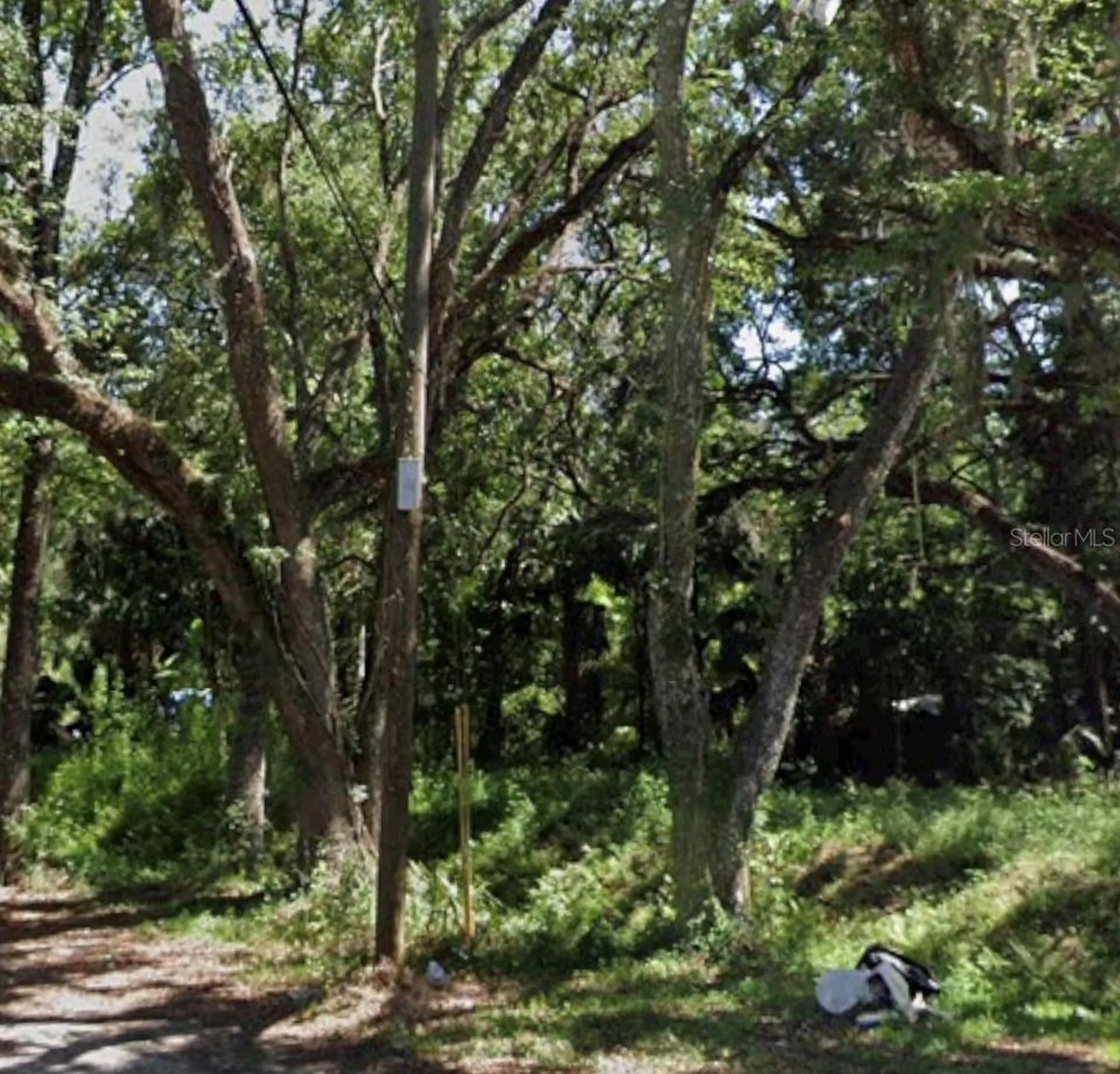 Tbd Twigg Street Brooksville FL 34601