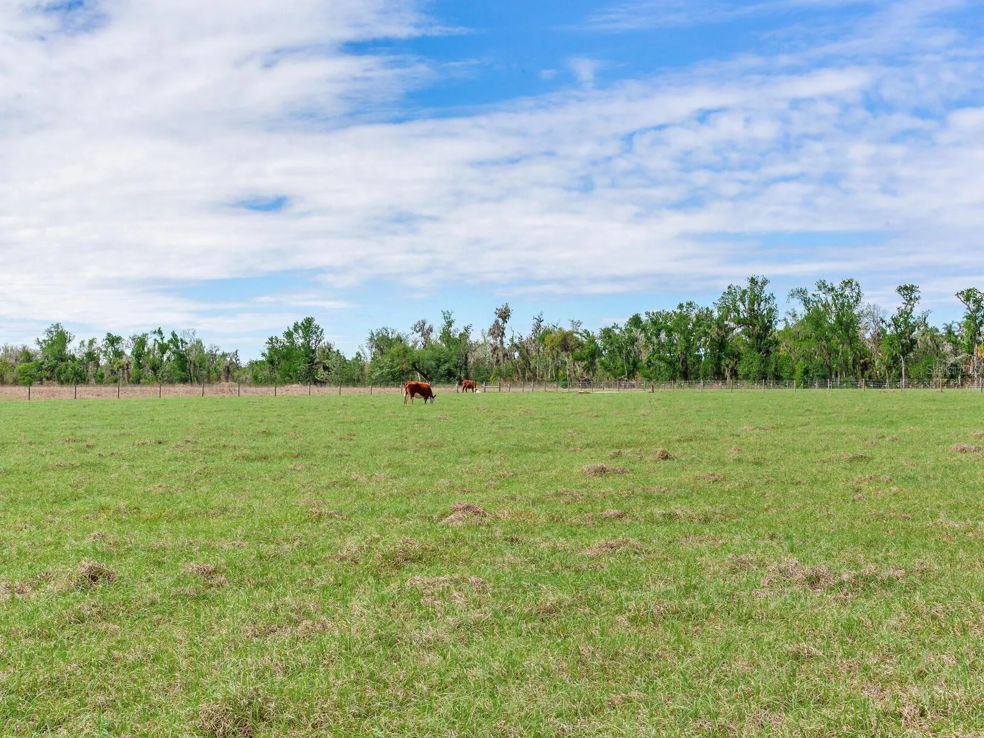 15721 Colding Loop Wimauma FL 33598