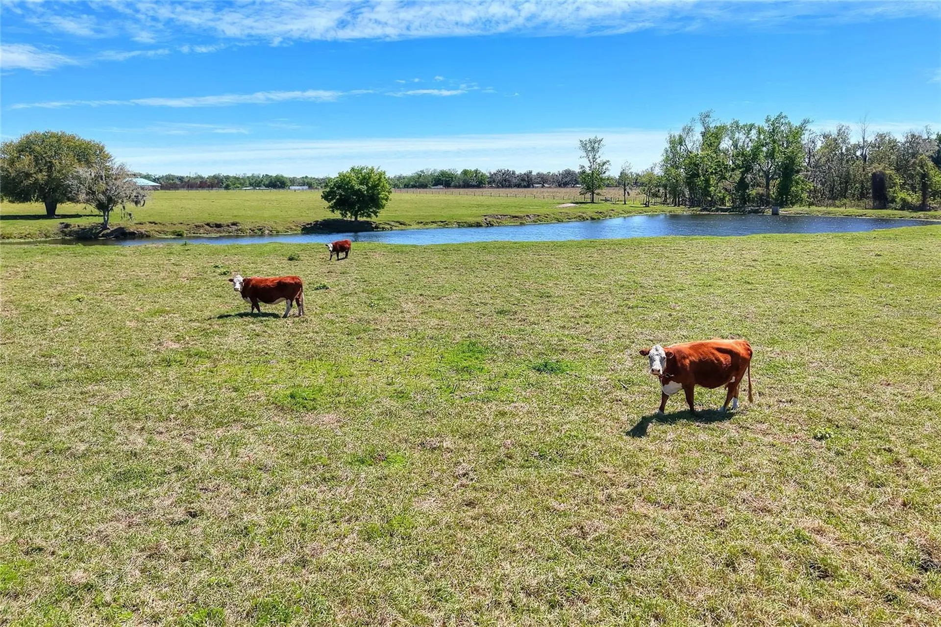 15721 Colding Loop Wimauma FL 33598