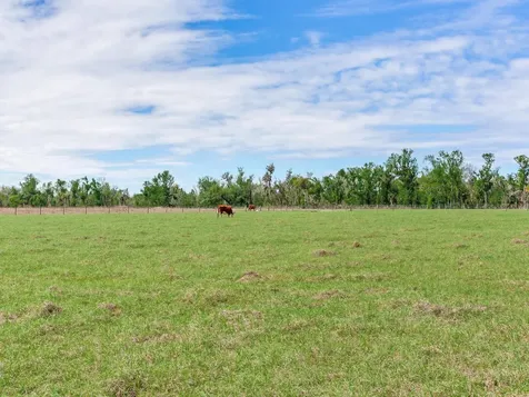 15721 Colding Loop Wimauma FL 33598