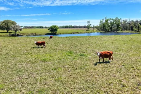 15721 Colding Loop Wimauma FL 33598