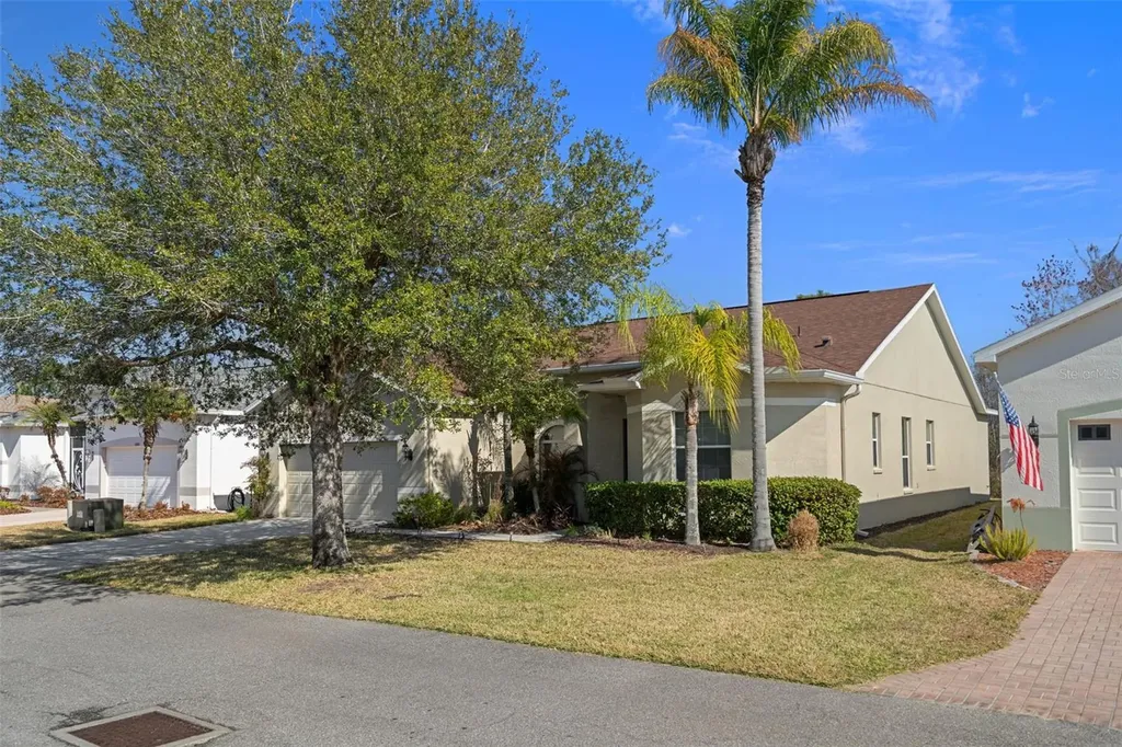 10048 Cleghorn Drive San Antonio FL 33576