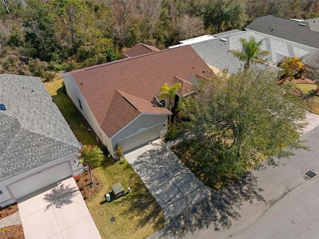 10048 Cleghorn Drive San Antonio FL 33576