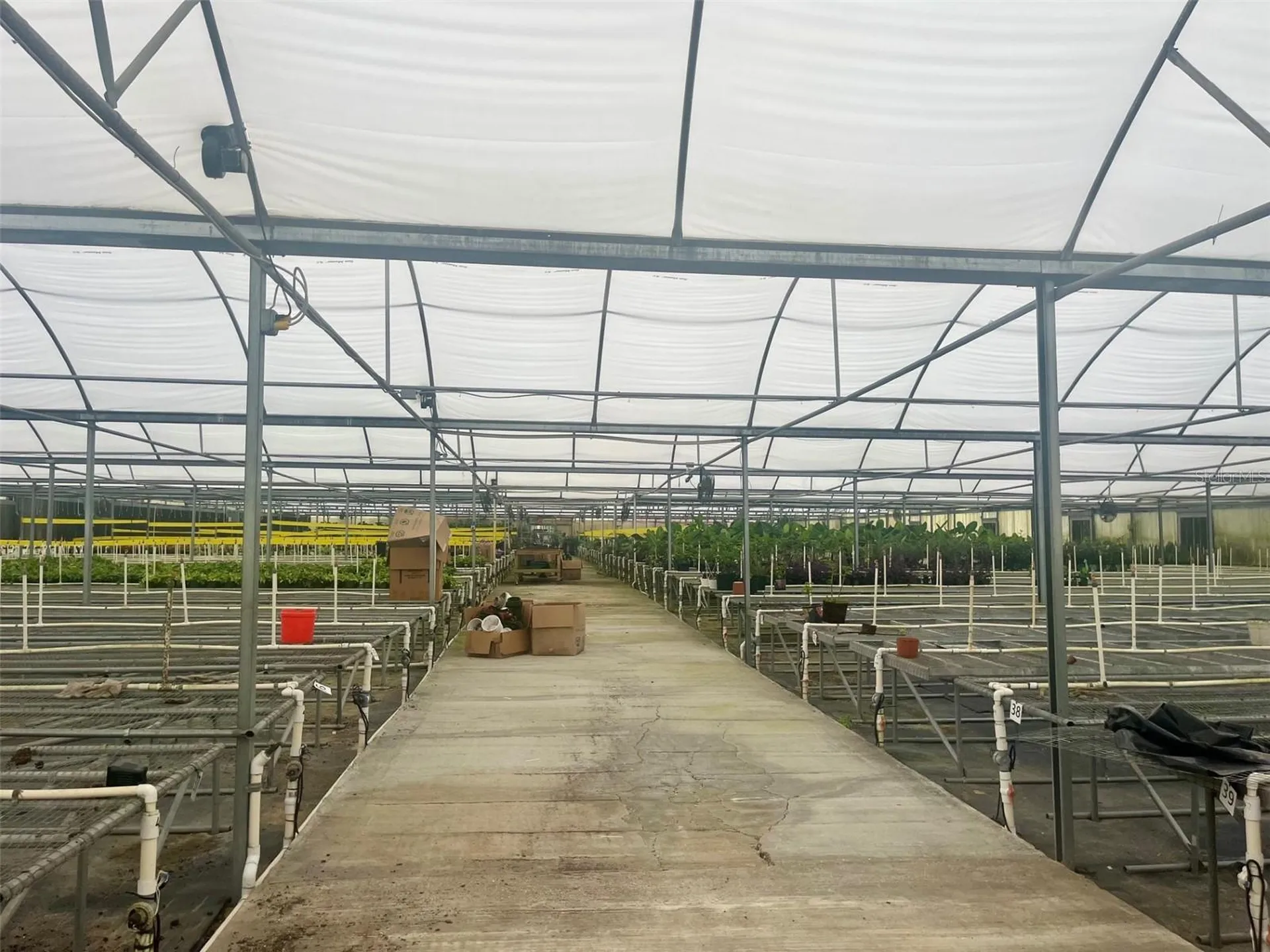 4103 Ondich Road Apopka FL 32712