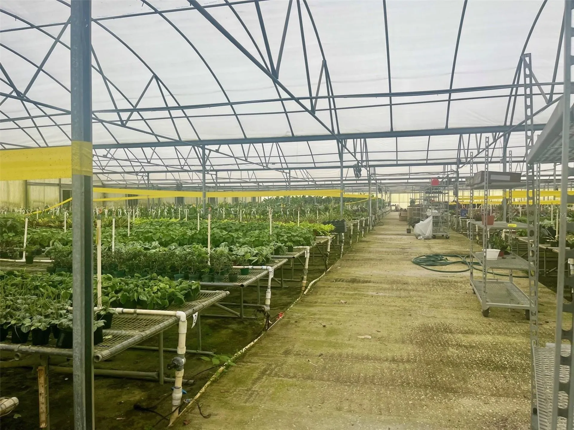 4103 Ondich Road Apopka FL 32712