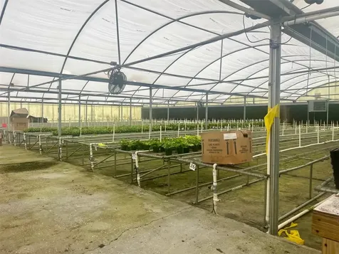 4103 Ondich Road Apopka FL 32712