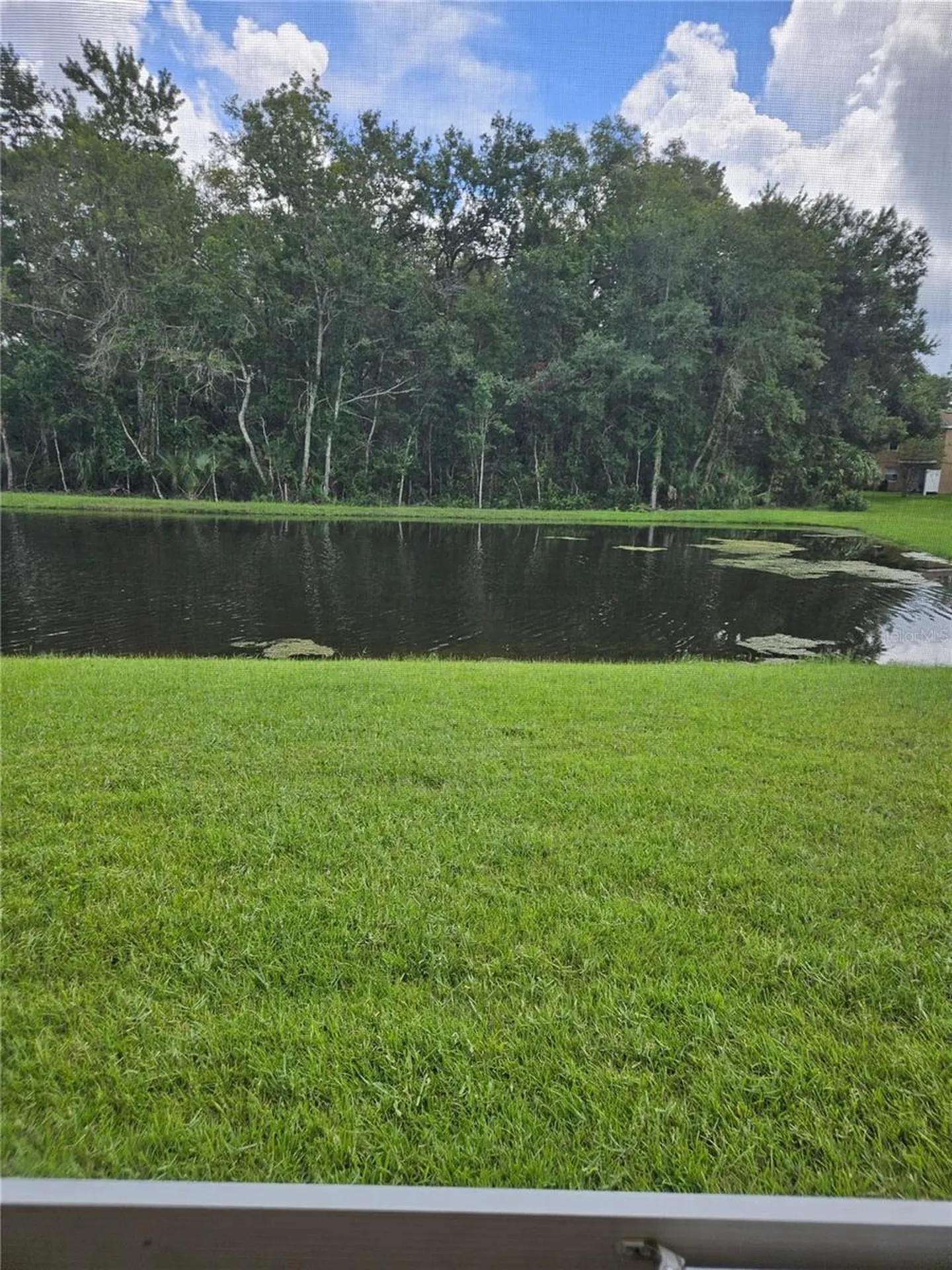 4214 Winding River Way Land O Lakes FL 34639