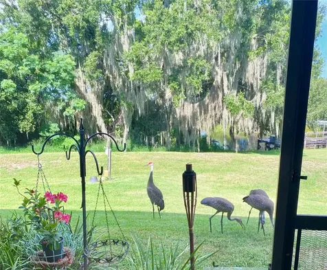 1051 Green Gate Boulevard Groveland FL 34736