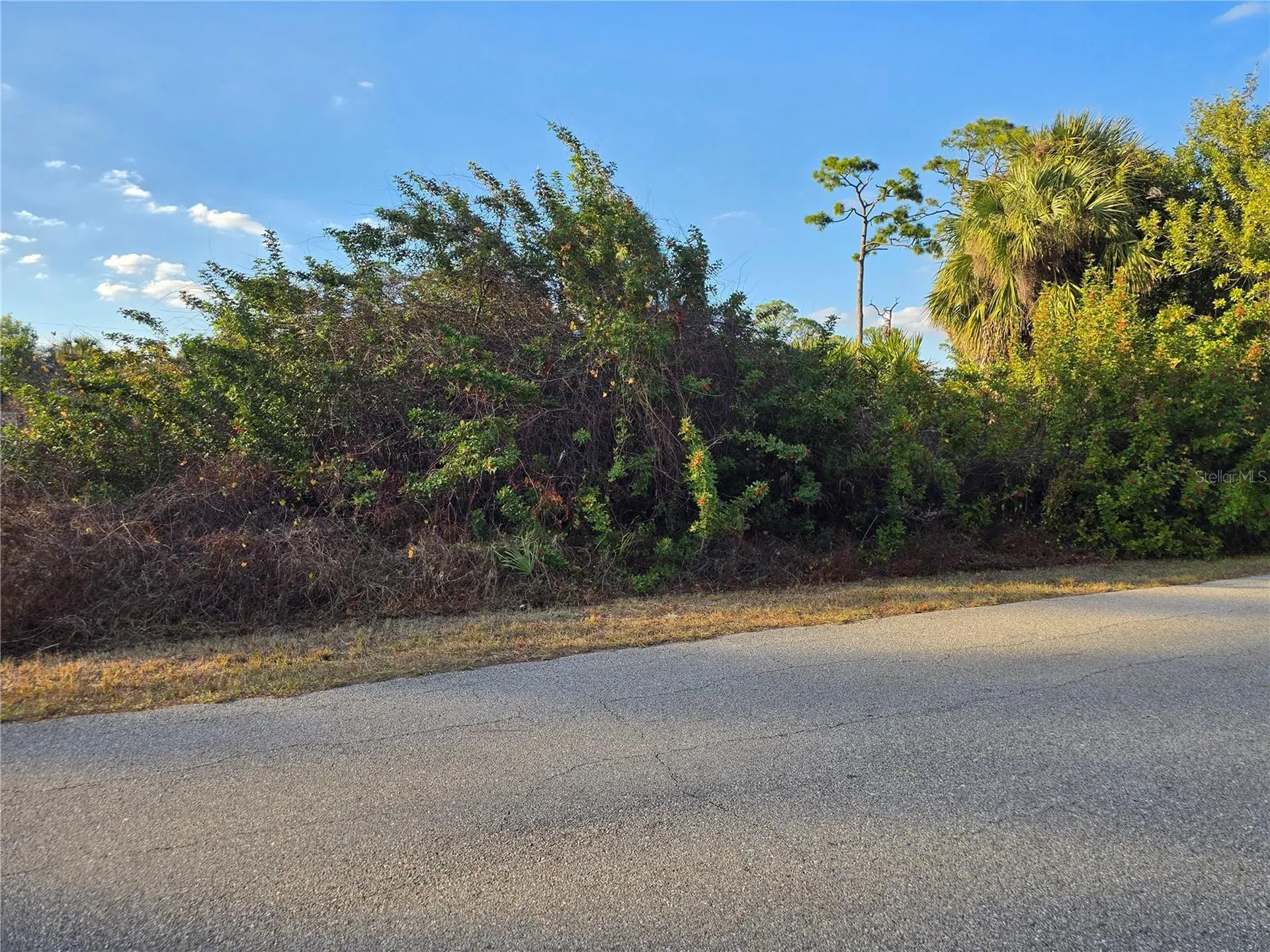 Athena Terrace North Port FL 34286