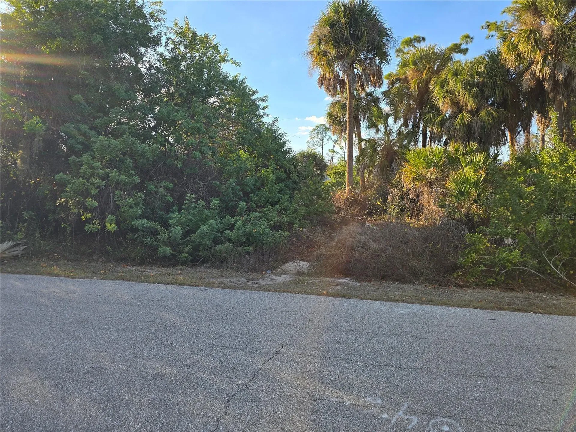 Athena Terrace North Port FL 34286