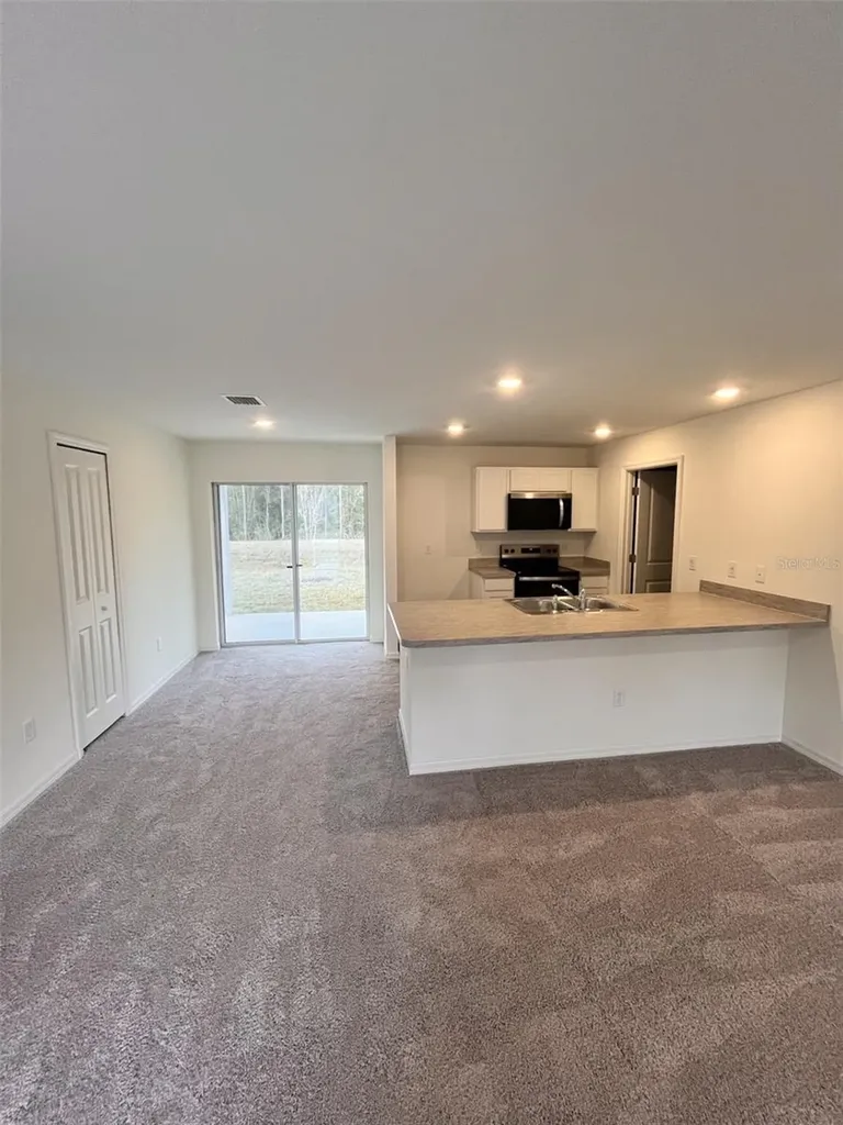 10255 Weatherby Avenue Hastings FL 32145