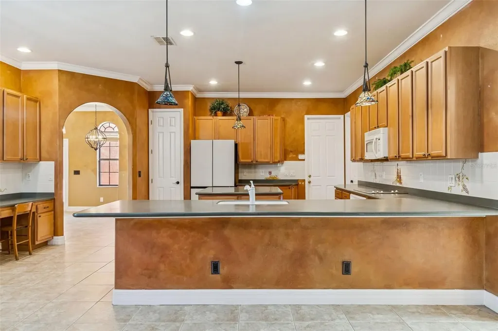 3511 Ballastone Drive Land O Lakes FL 34638