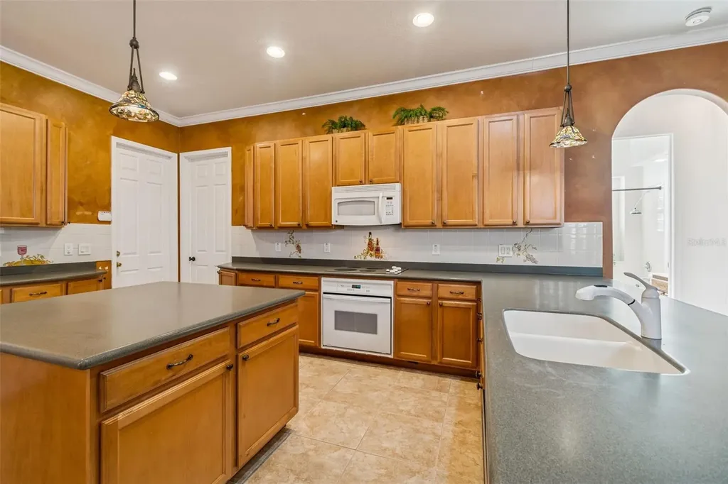 3511 Ballastone Drive Land O Lakes FL 34638