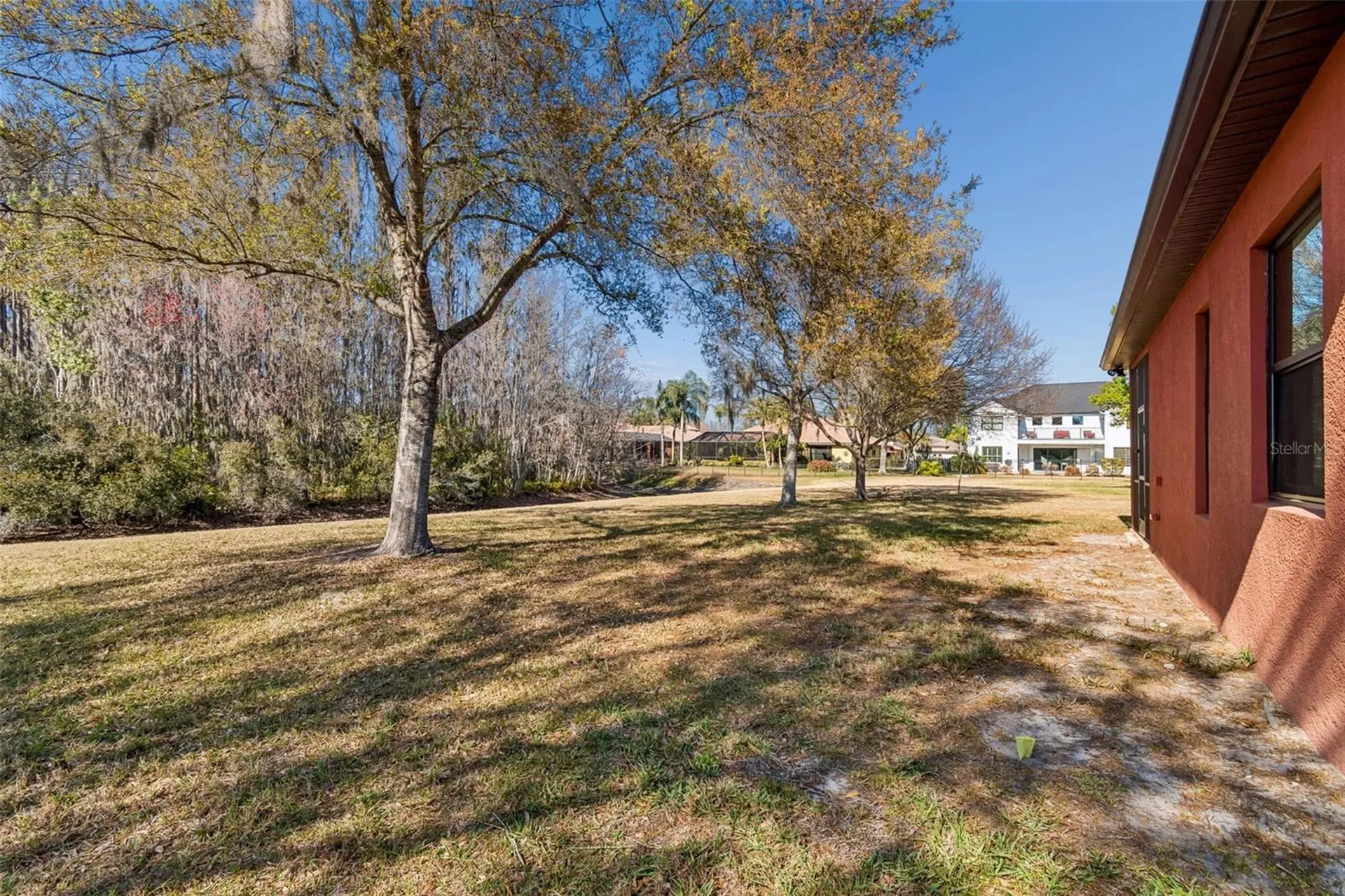 3511 Ballastone Drive Land O Lakes FL 34638