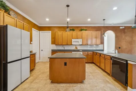 3511 Ballastone Drive Land O Lakes FL 34638
