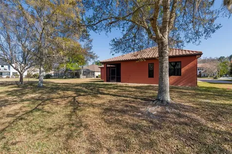 3511 Ballastone Drive Land O Lakes FL 34638