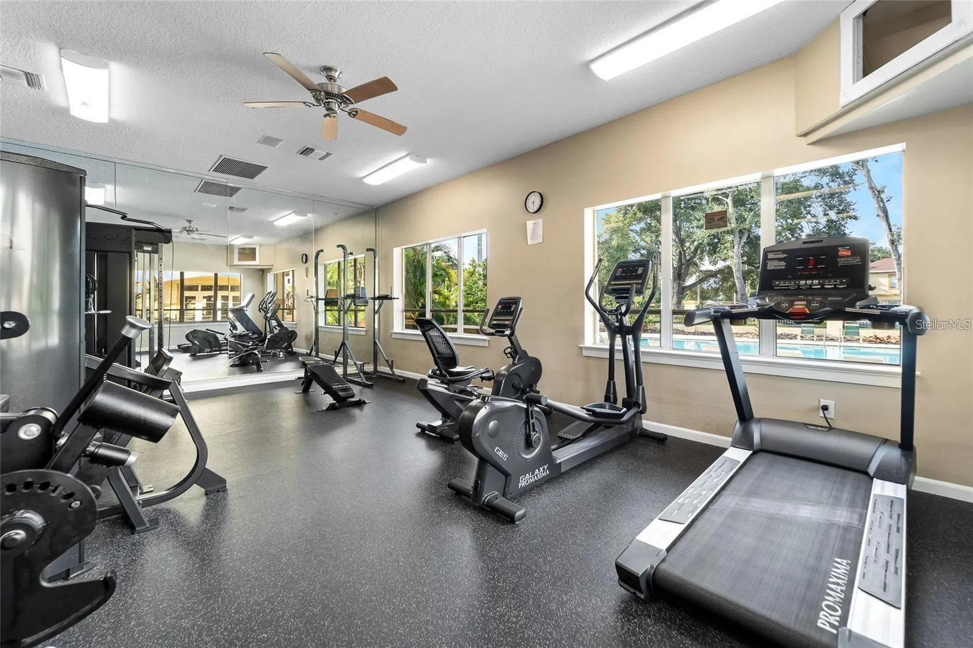 5606 Pinnacle Heights Circle Tampa FL 33624