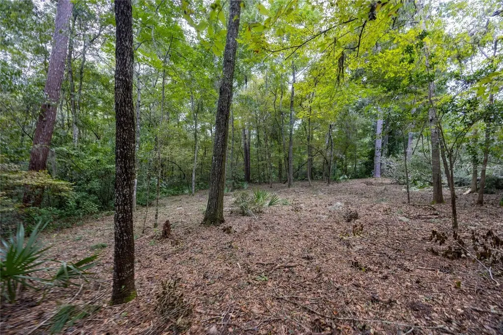 3960 NW 30th Place Gainesville FL 32606