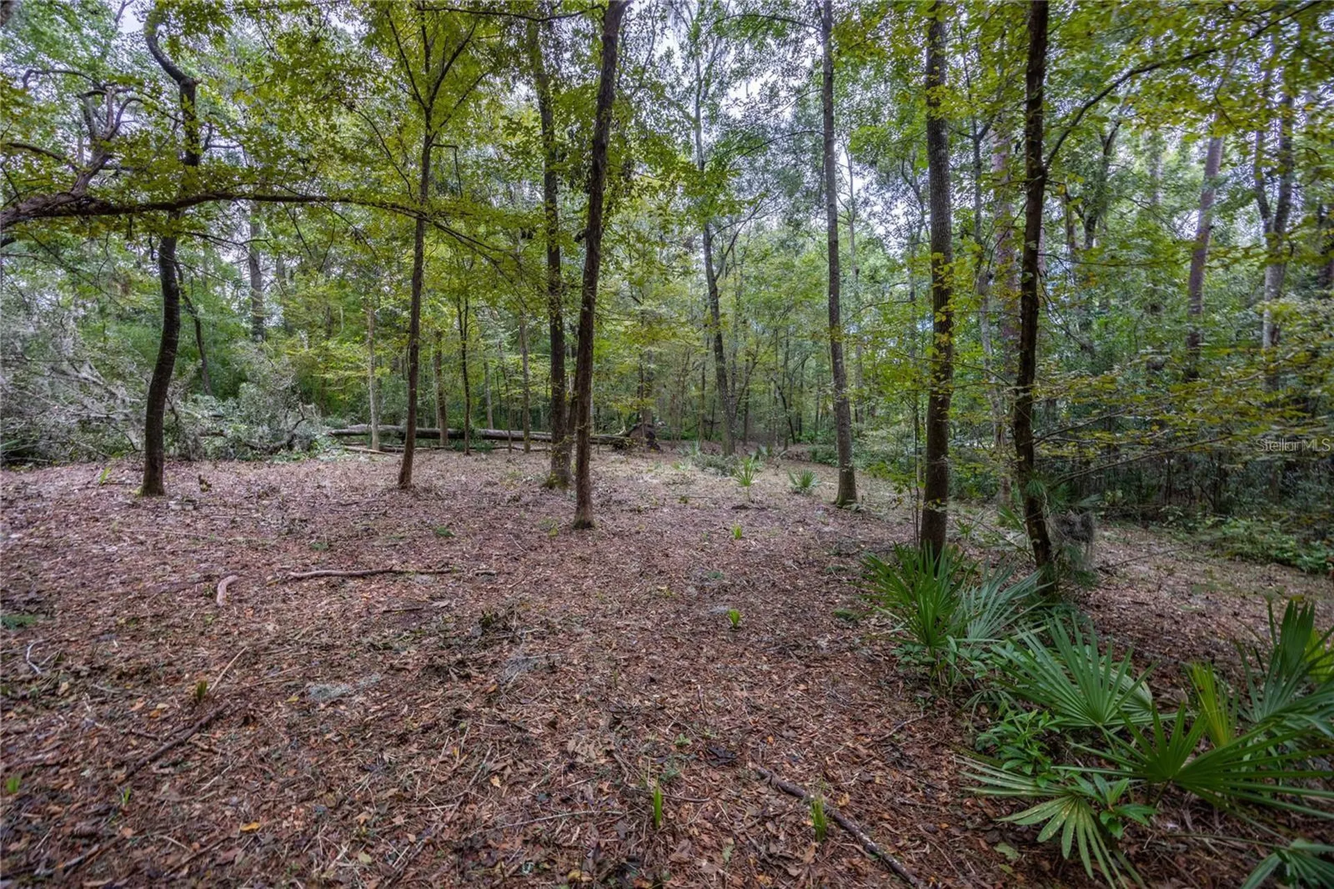 3960 NW 30th Place Gainesville FL 32606