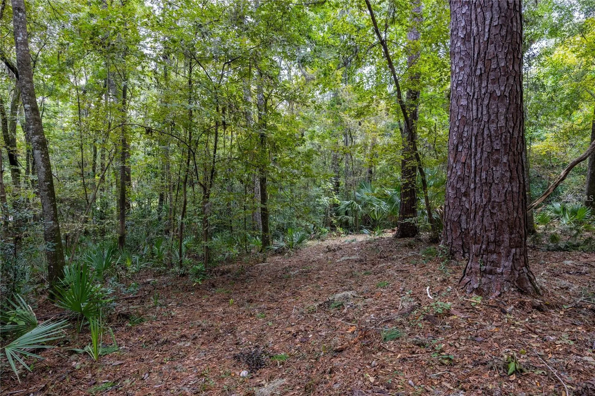 3960 NW 30th Place Gainesville FL 32606