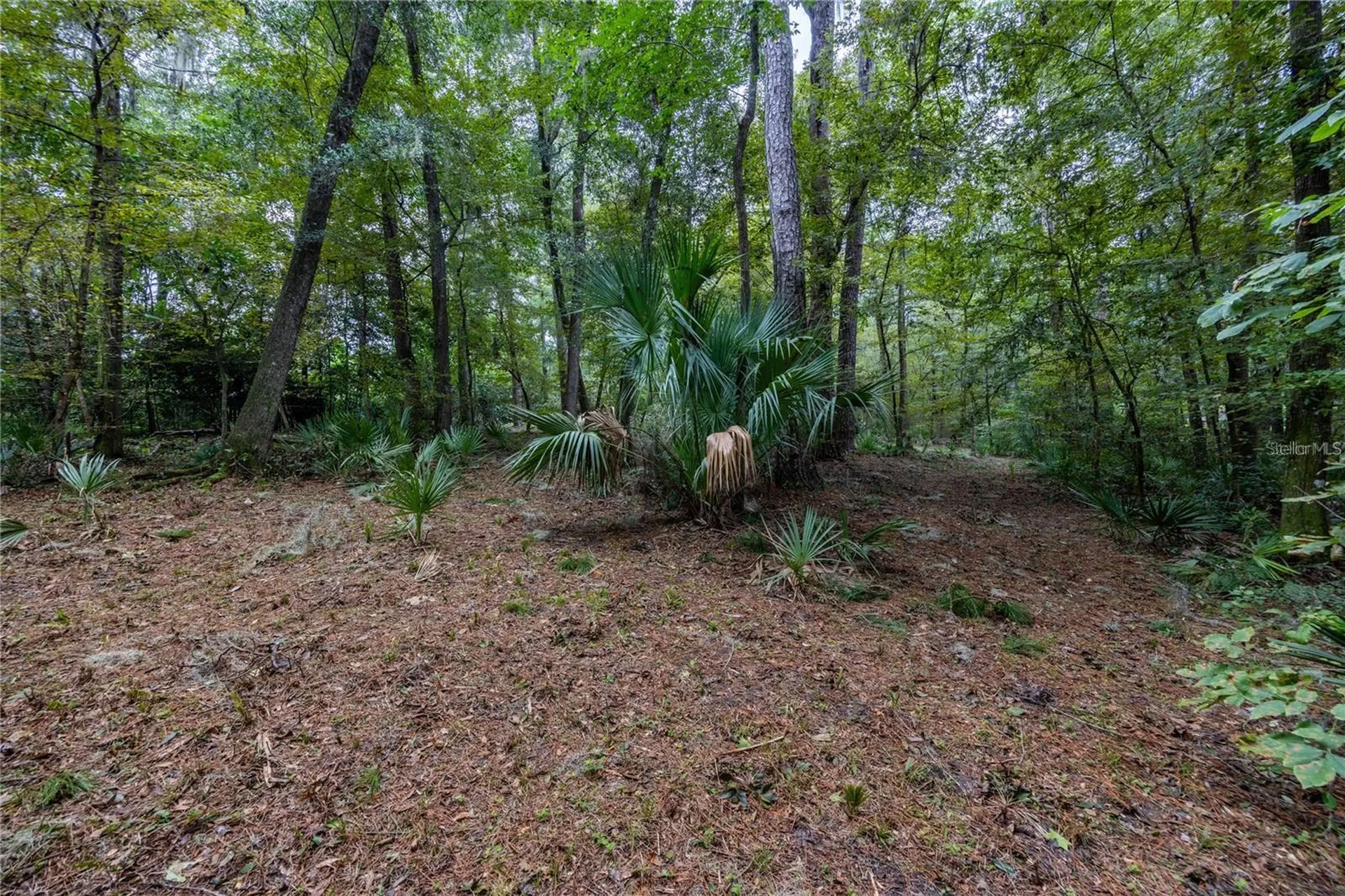 3960 NW 30th Place Gainesville FL 32606