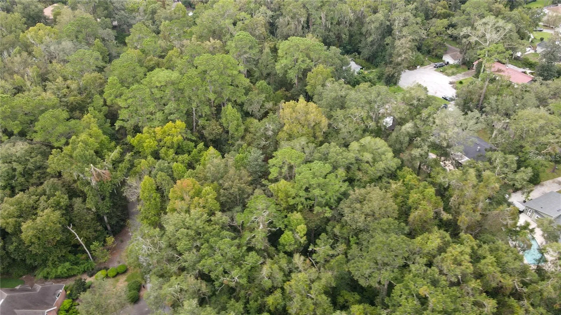 3960 NW 30th Place Gainesville FL 32606
