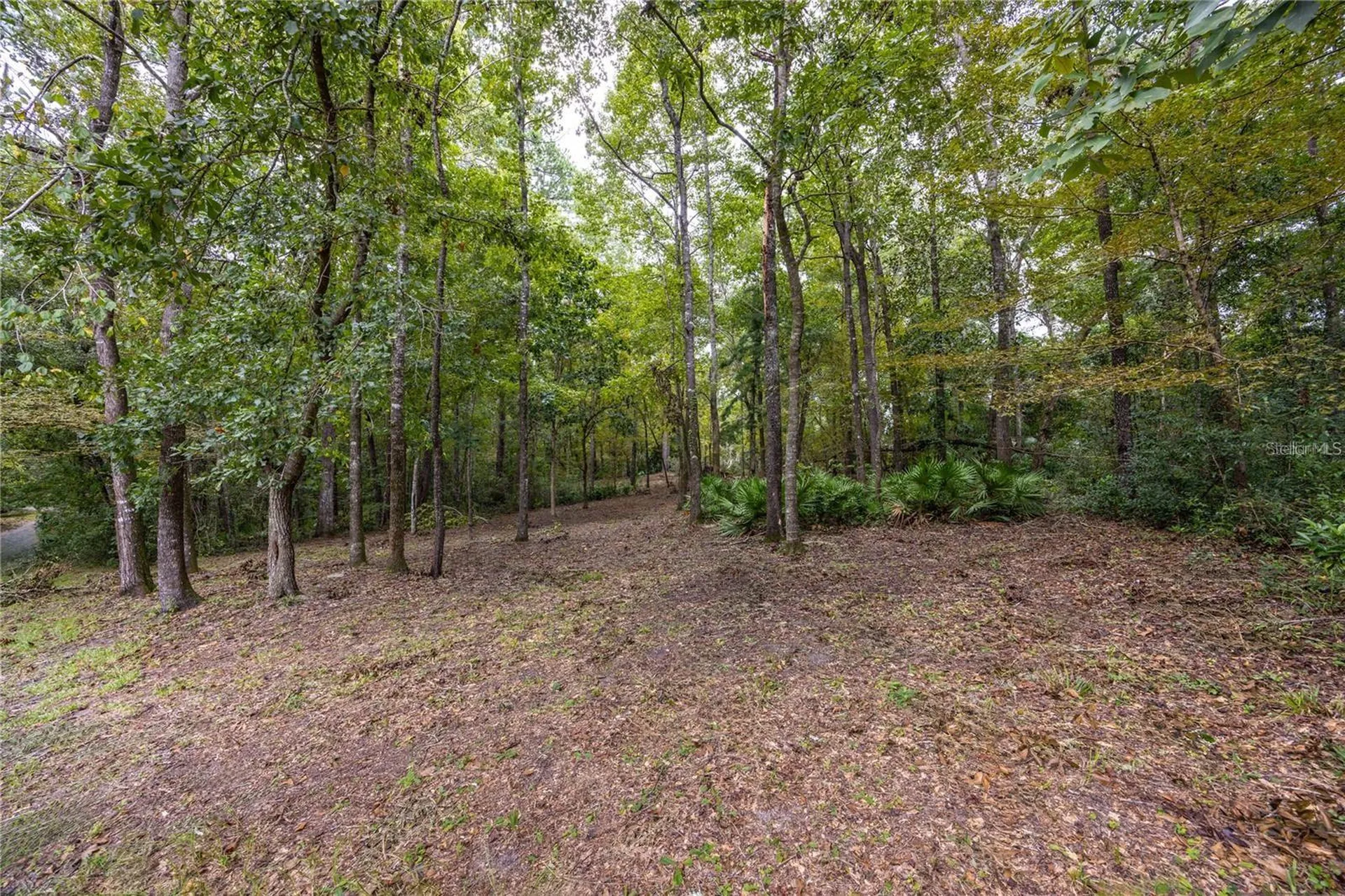 3960 NW 30th Place Gainesville FL 32606