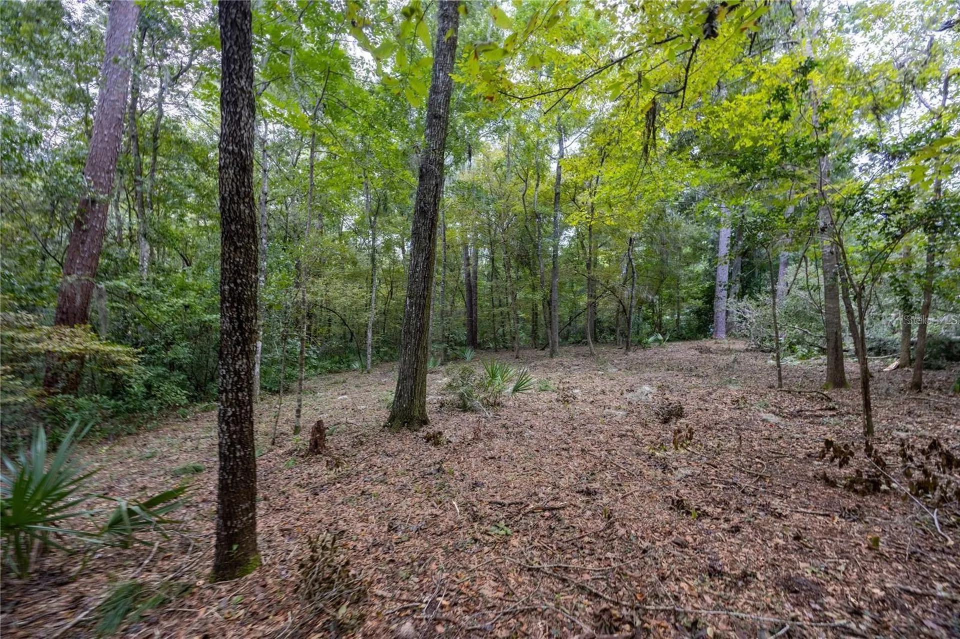 3960 NW 30th Place Gainesville FL 32606