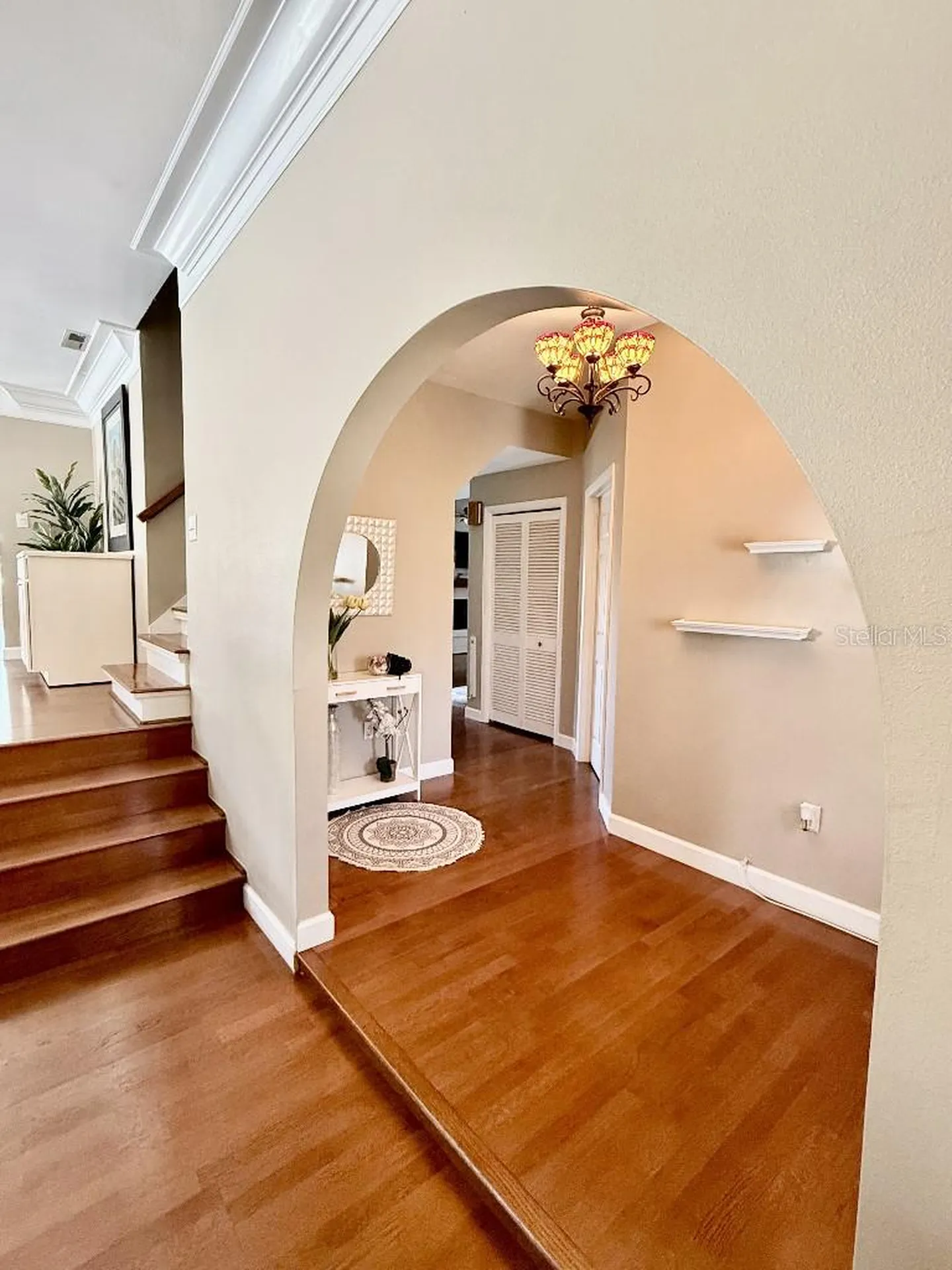 2563 Knotty Pine Way Clearwater FL 33761
