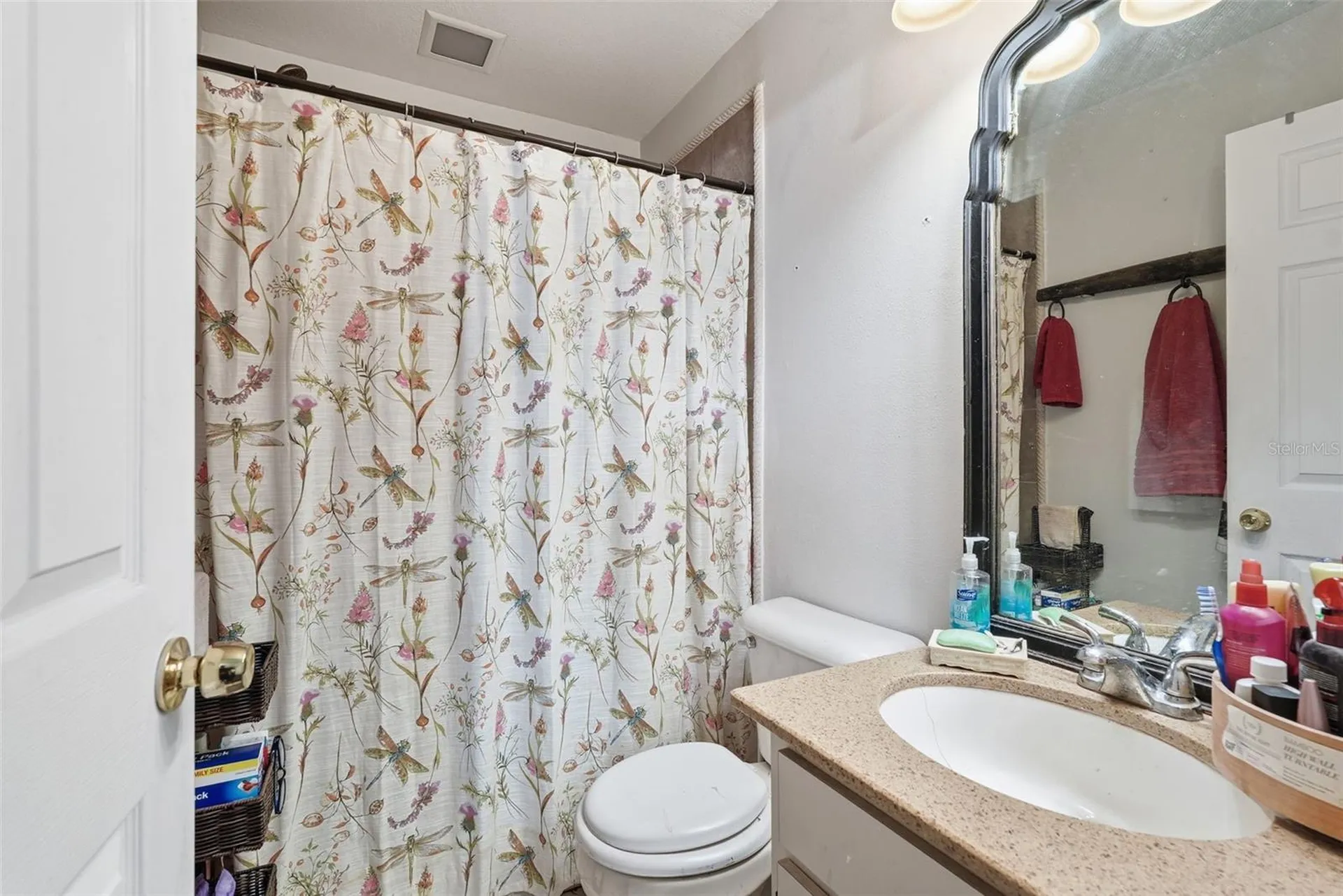 17603 Cranbrook Drive Lutz FL 33549