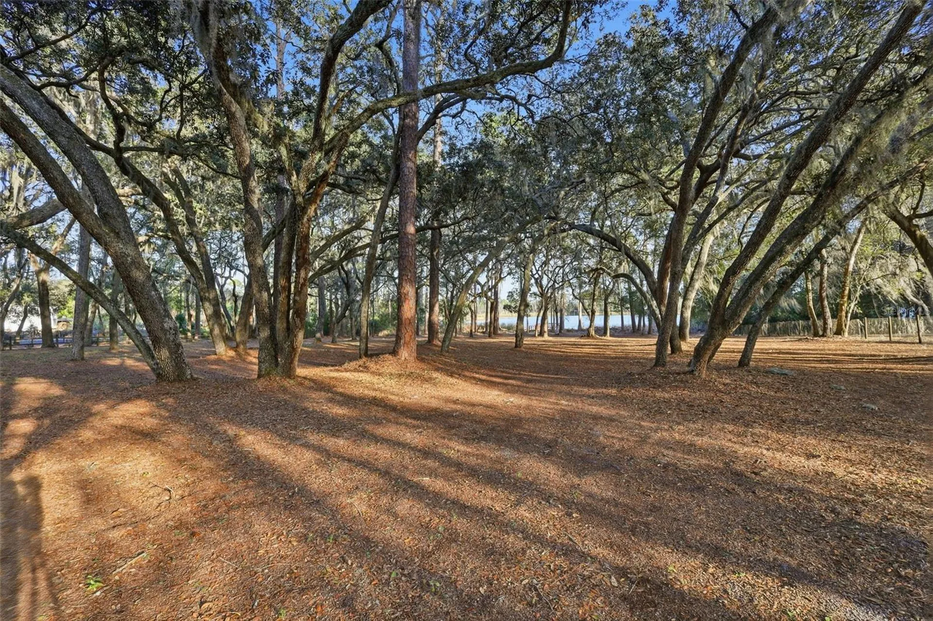 6197 Lake Winona Road De Leon Springs FL 32130