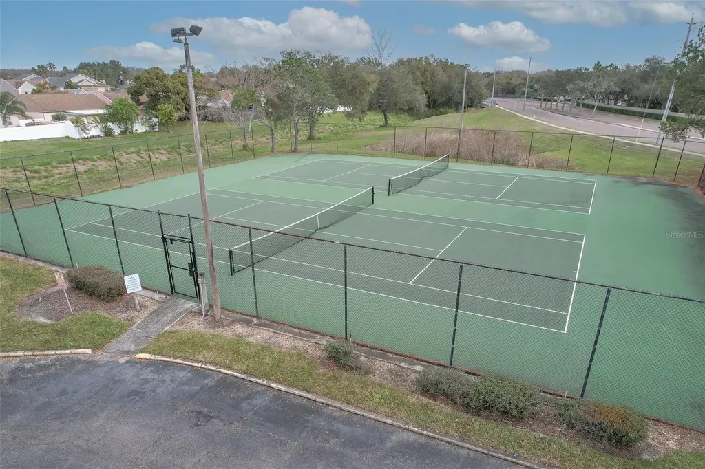 10028 Strafford Oak Court Tampa FL 33624