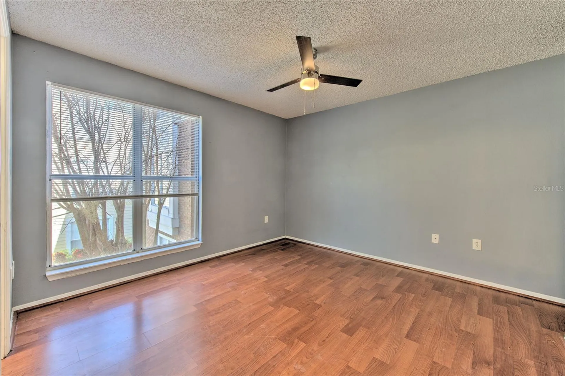 10028 Strafford Oak Court Tampa FL 33624