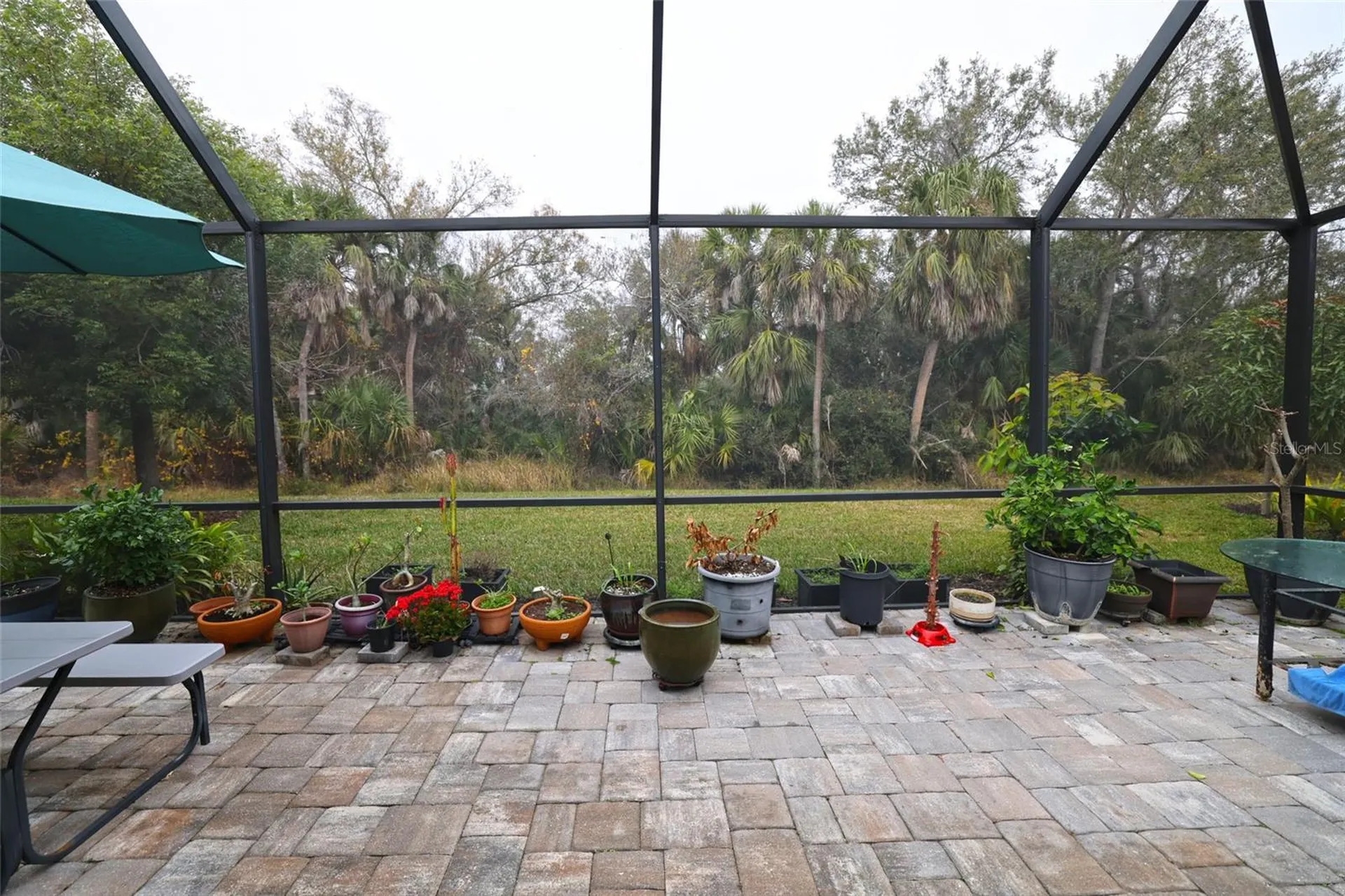 11992 Blazing Star Drive Venice FL 34293
