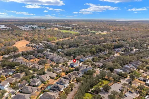 15906 Starling Crossing Drive Lithia FL 33547