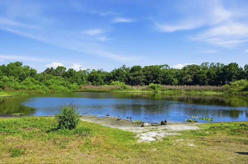 1708 Pond Lake Drive Tampa FL 33612