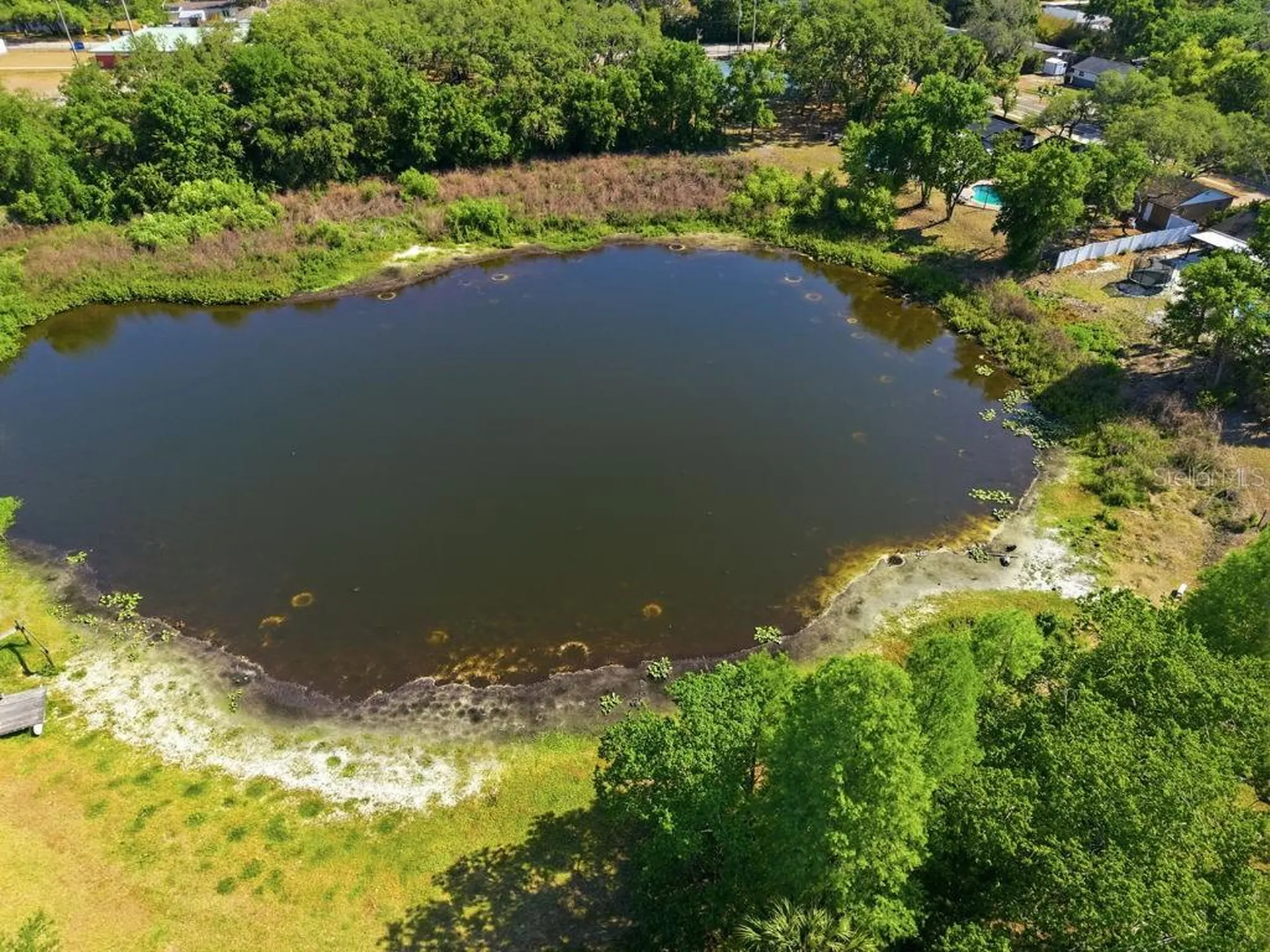 1708 Pond Lake Drive Tampa FL 33612