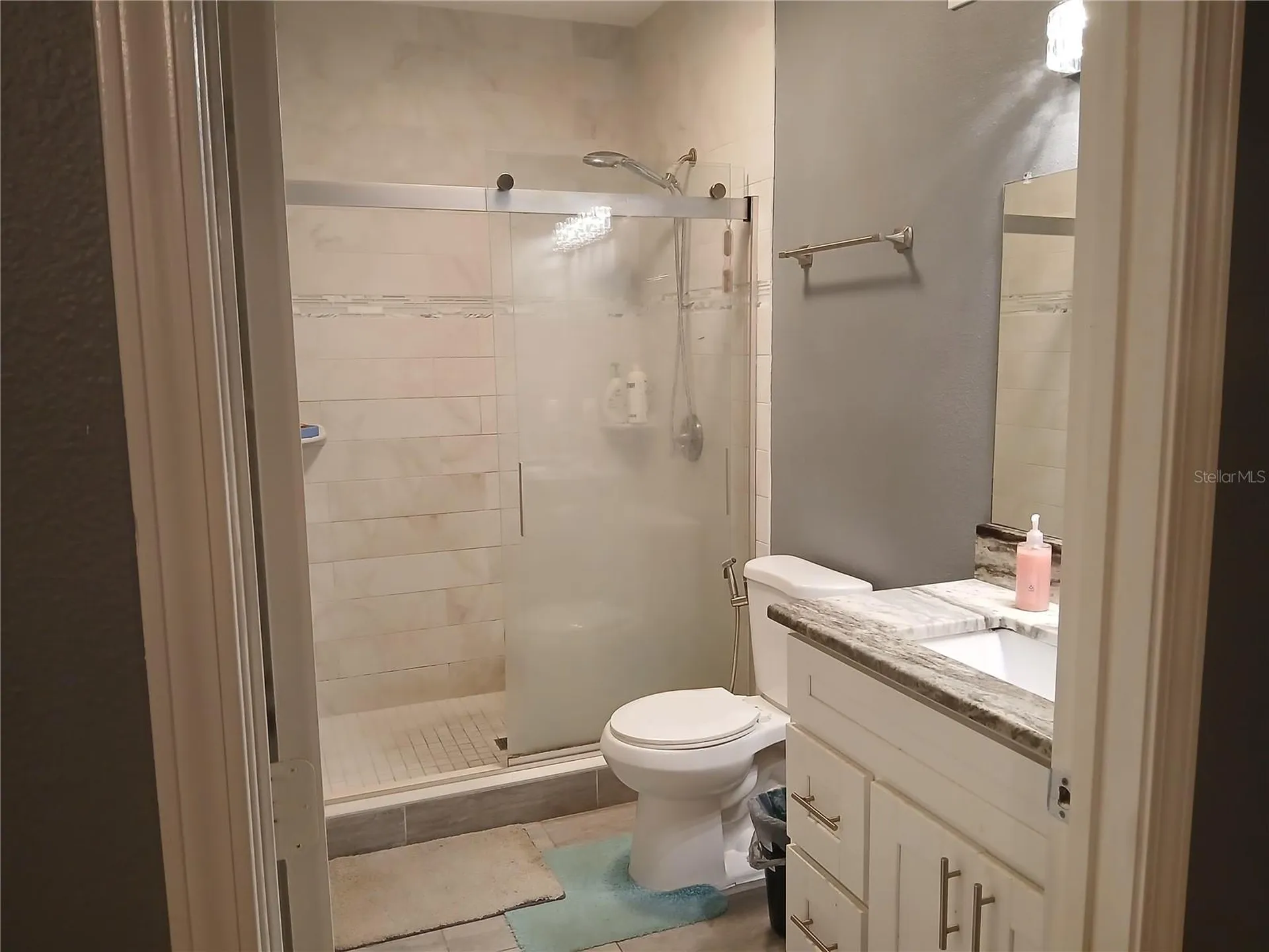 18078 Villa Creek Drive Tampa FL 33647