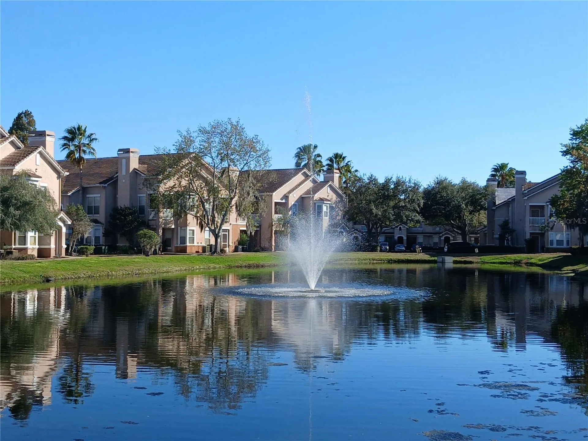 18078 Villa Creek Drive Tampa FL 33647
