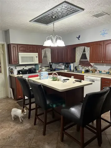 2327 Cr 528 Sumterville FL 33585