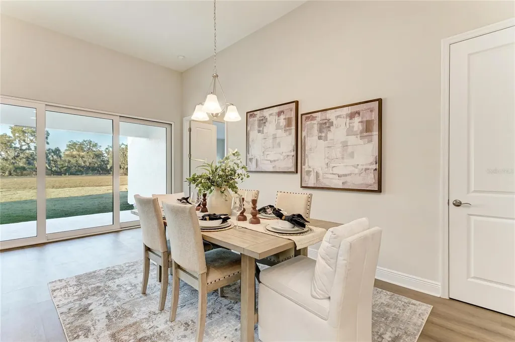 13442 Buffalo Mountain Avenue Riverview FL 33579