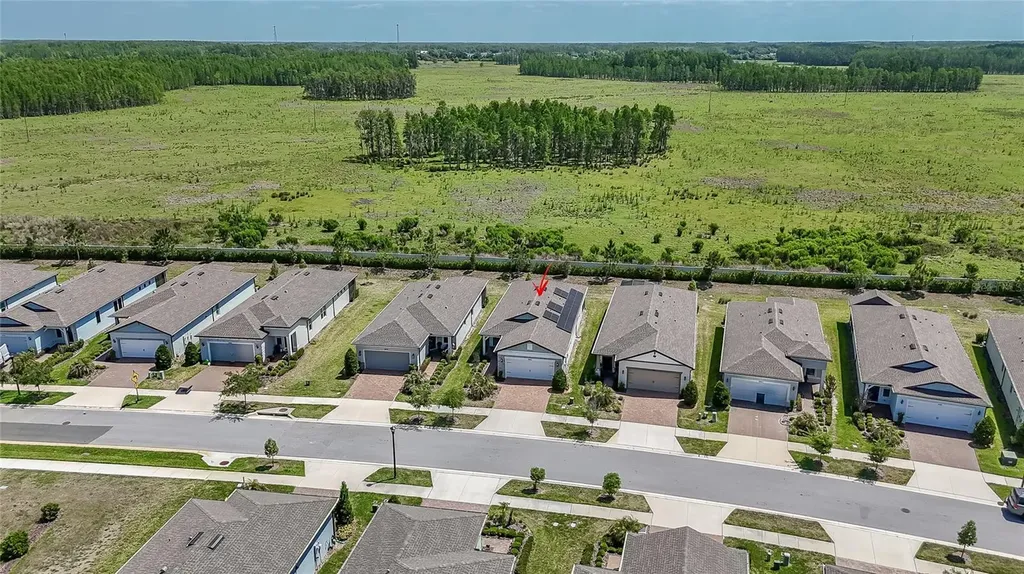 5981 Shorebird Branch Land O Lakes FL 34638