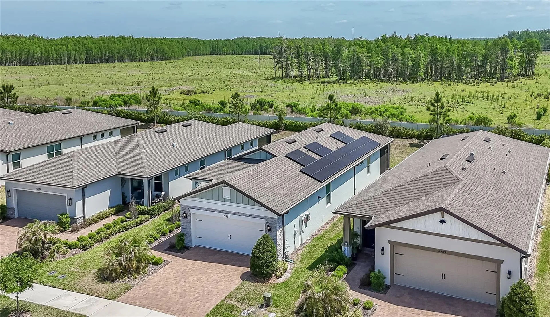 5981 Shorebird Branch Land O Lakes FL 34638
